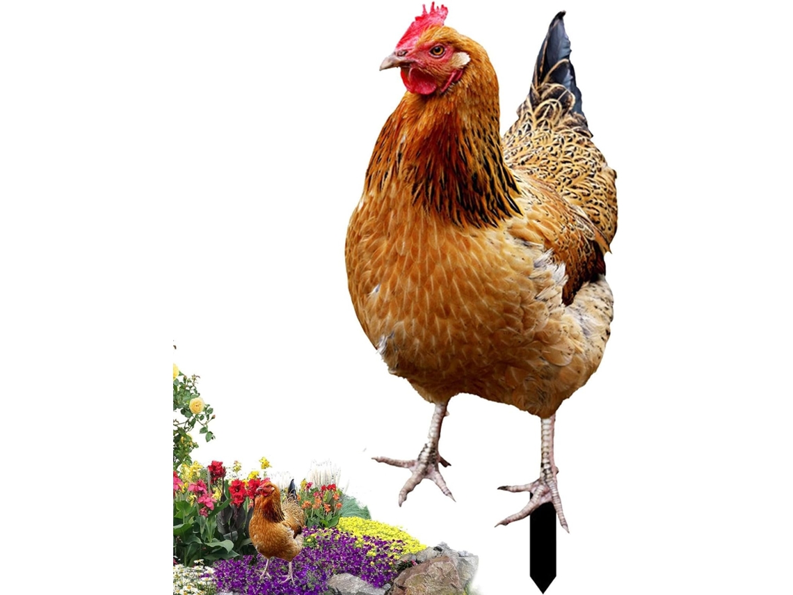 Galinha Decorativa para Jardim Galinha 2d em Acrílico, Figura para Jardim, Estatueta Decorativa com Acabamento Às CHABERLU