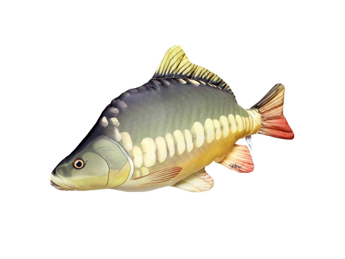 GABY The Carp Medium