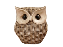 Laxiscreed Coruja Decorativa Em Rattan Para Sala De Estar E Móveis Nórdicos