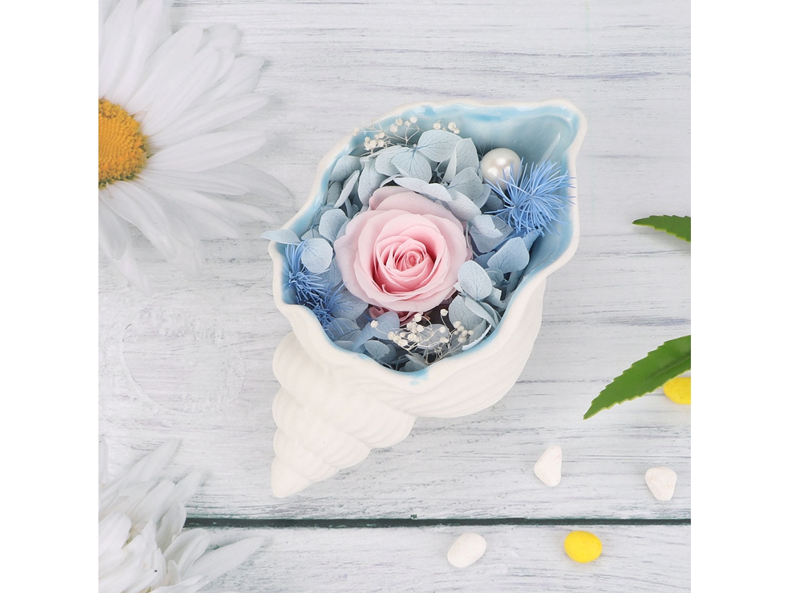 Presente Pérola de Concha com Rosa Eterna Artesanal