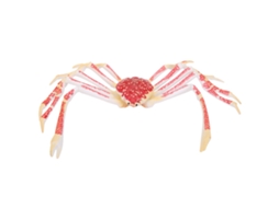 Mali modelo de Caranguejo Simulado Brinquedo Plástico Animal Marinho Presente Infantil Decoração