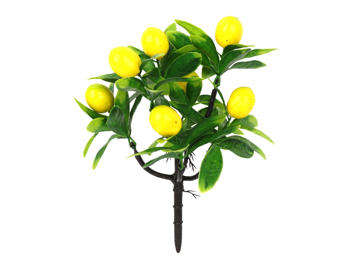 Laxiscreed Planta De Kumquat Em Vaso Com Limão Para Jardim Ou Interior