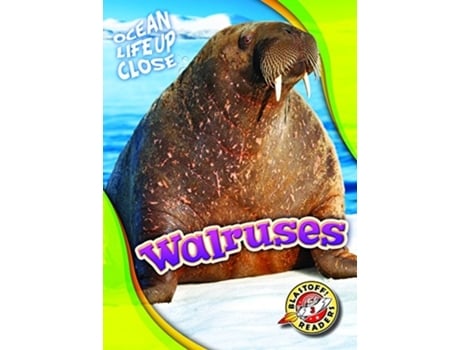 Livro walruses de kari schuetz (inglês)