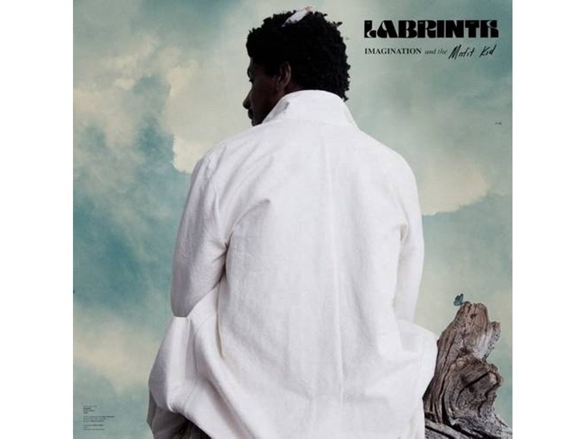 Vinil Labrinth -  Imagination And The Misfit