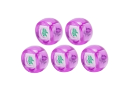 5 Peças de Dados de Direção do Vento Mahjong, Norte Sul Oeste Leste, Esfera Transparente Roxa, para Jogos S/MARCA