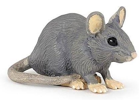 Figura  Rato Doméstico