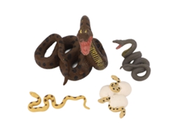 Mali 4 Pcs Modelos de Ciclo de Crescimento de Cobra Pvc Realistas Brinquedos Educativos para Crianças