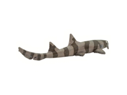 SAFARI Bamboo Shark