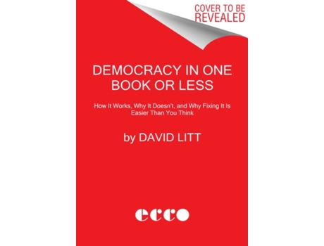Livro democracy in one book or less de david litt (inglês)
