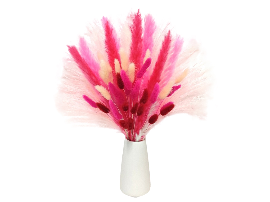 Flores Secas Pink com Rabo de Coelho em Caixa de Courino LAXISCREED