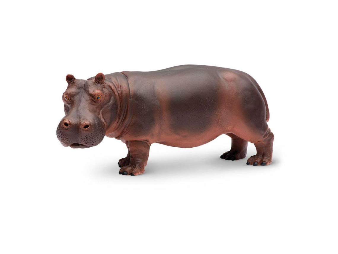 SAFARI Hippopotamus