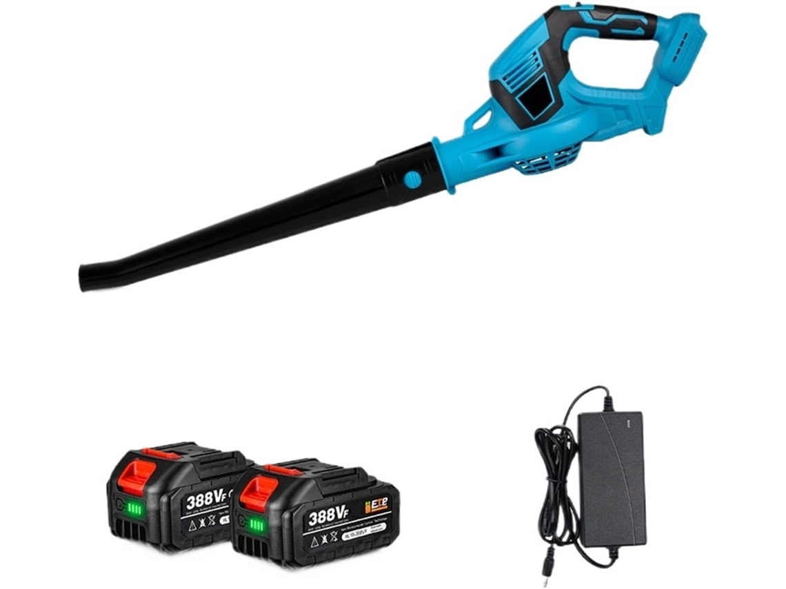 Tournevis SFUSHOS dynamométrique, ensemble de 22 pièces en S2