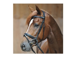 Cabeçotes de Cavalo KAVALKADE Ravenna