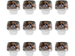 Puxadores Quadrados Para Gavetas De Cômoda, Puxadores Para Armários De Cozinha, 12 Peças, Cachorro Boxer Na Grama