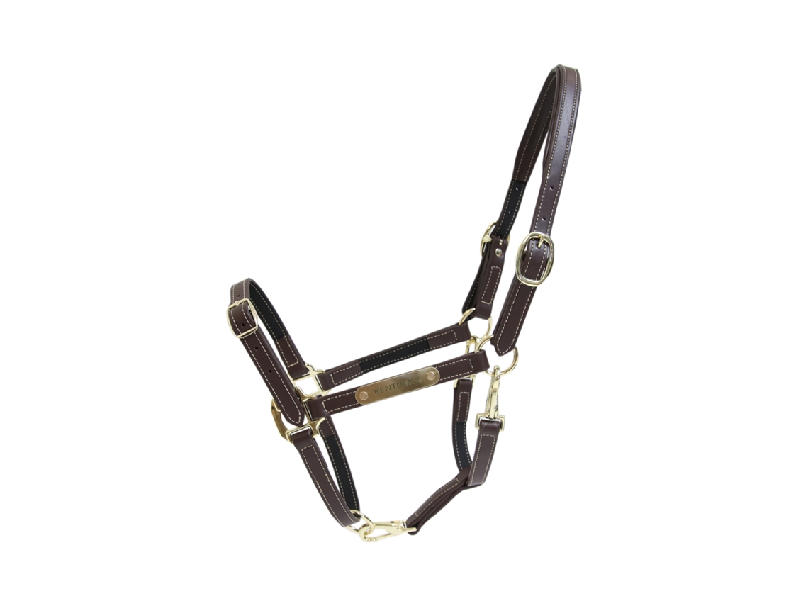 Cabresto flexível de couro para cavalos Kentucky