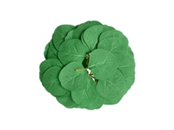 Folhas Artísticas de Eucalipto Verde Natural LAXISCREED