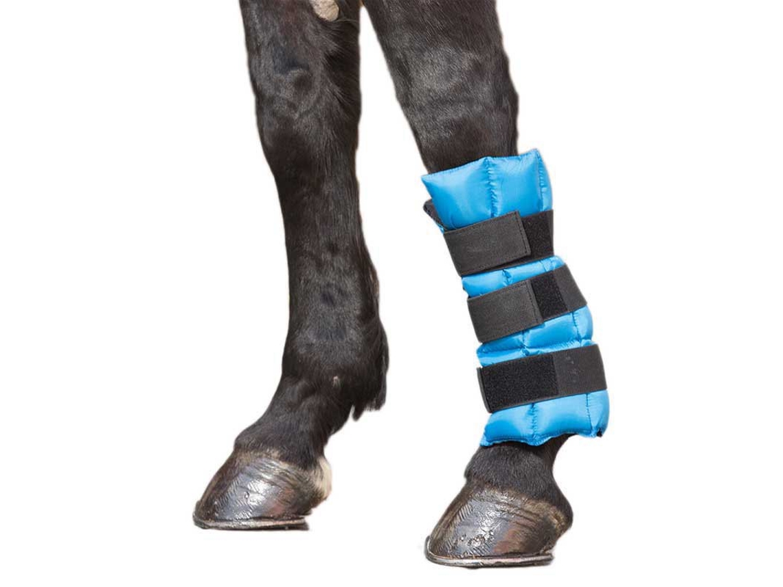 Botas Tendão Ice Gel Azul Fullwaldhausen