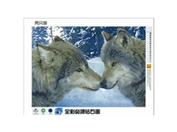 Laxiscreed Pintura De Diamante Diy Com Padrões De Animais E Humanos, Crystals Parciais