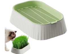 Vaso para Grama de Gato Vaso Hidropônico para Grama de Gato plantio de Camada Dupla para Recipientes Sem Solo, CHABERLU