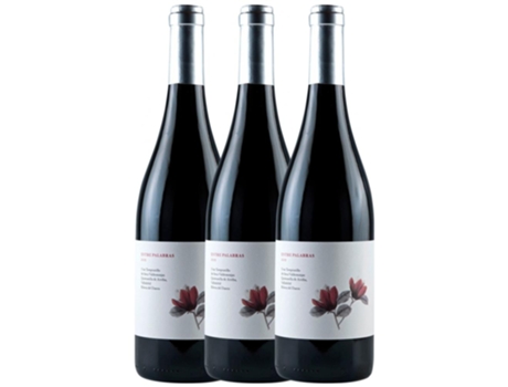 Vinho VALDEMONJAS Valdemonjas Entre Palabras Tempranillo Ribera Del Duero (0.75 L - 3 unidades)