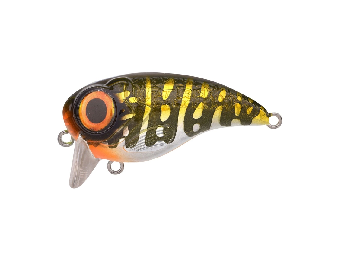 Isco SPRO Fat Iris 50