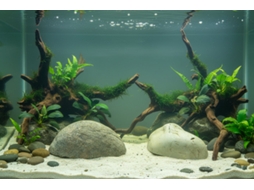 Seixos Decorativos Para Aquários Alpino Claro / 10 Unidades