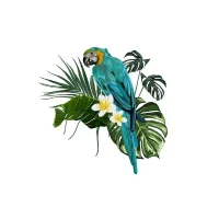 Vinis Decorativos