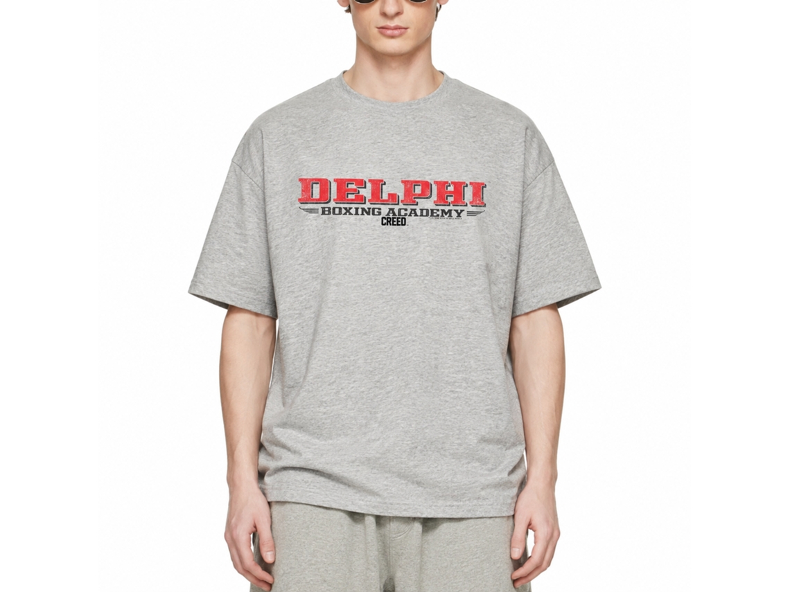 Rockinstone Rocky Movie Delphi Heather Gray Adult T-shirt Size:m