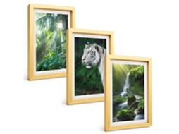 Pinturas Murais Modernasselva, Tigre, Cachoeira Moldura Dourada Fotos Para O Corredor Espelharte (3 Peças 20x30 Cm)
