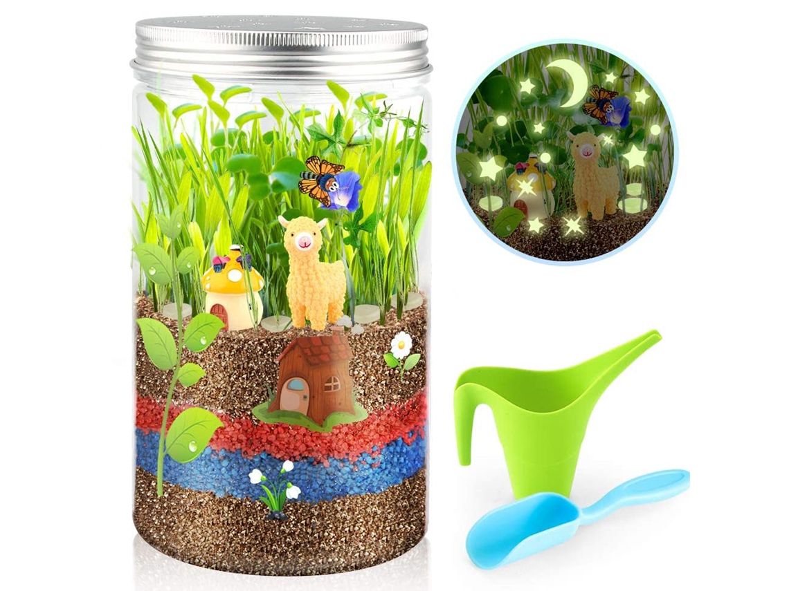 Mali kit de Cultivo de Terrário Grow And Glow para Crianças Brinquedo Educativo Diy