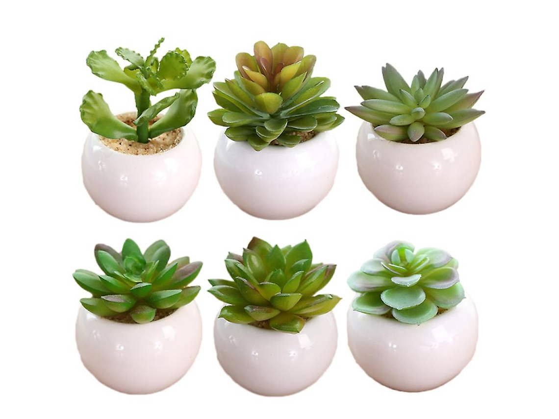 6 Unidades de Vaso de Plantas ALLINLESS