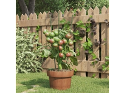 Vidaxl Suportes P/ Plantas De Jardim C/ 3 Anéis 5 Pcs 45 Cm Aço Verde
