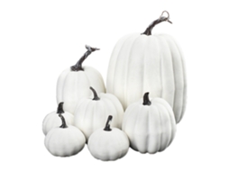 7pcs Abóboras Artificiais de Simulação Laranja e Branca Decor Doméstica Halloween e Thanksgiving S/MARCA