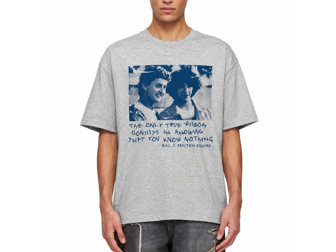 Rockinstone Bill And Ted Knowing Nothing Halftone Heather Gray Adult T-shirt Size:m