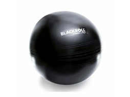 Ginásio ball BLACKROLL 65