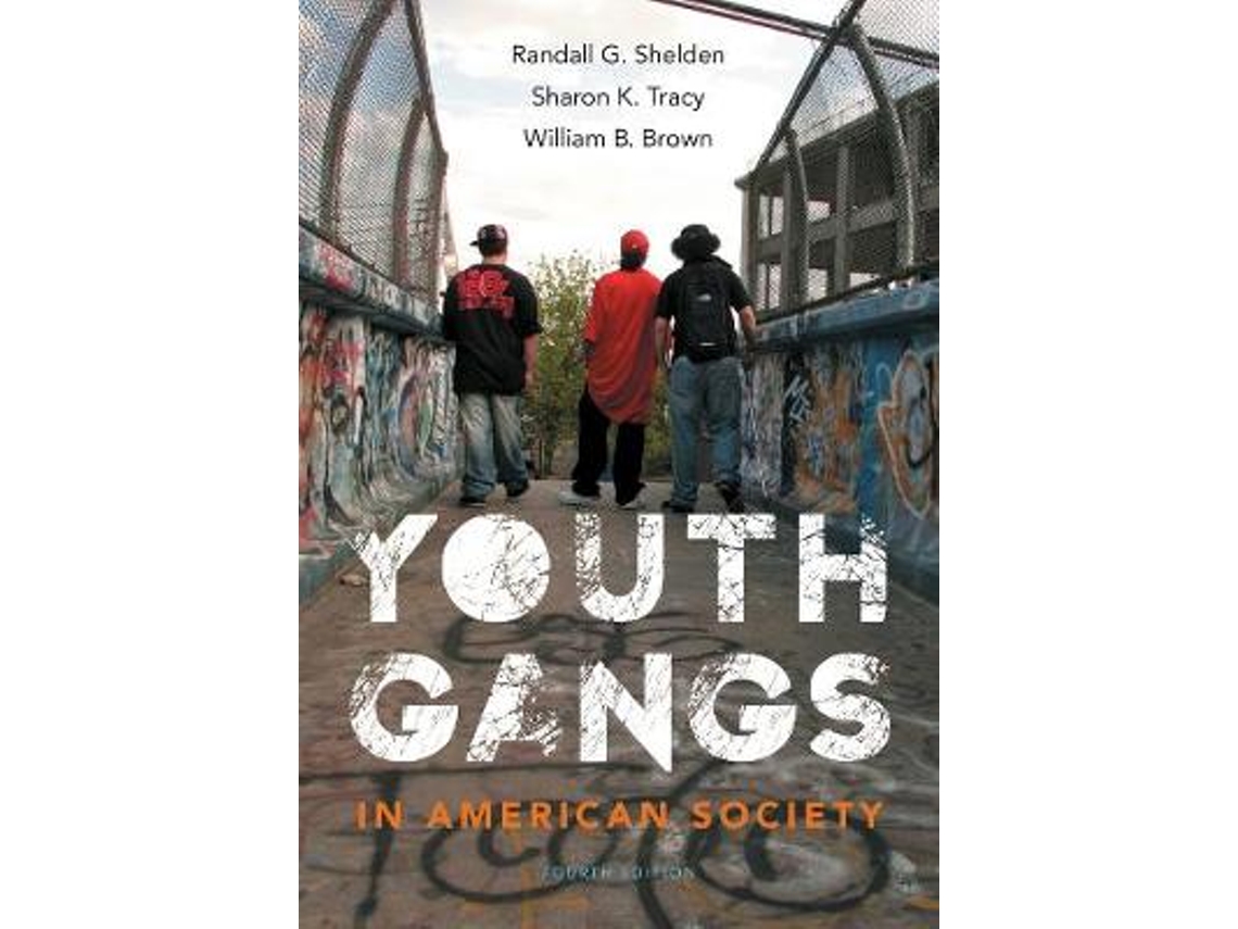 Livro youth gangs in american society de sharon (georgia southern university) tracy,william (western oregon university) brown (inglês)