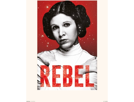 Print STAR WARS 30X40 Cm Leia Rebel