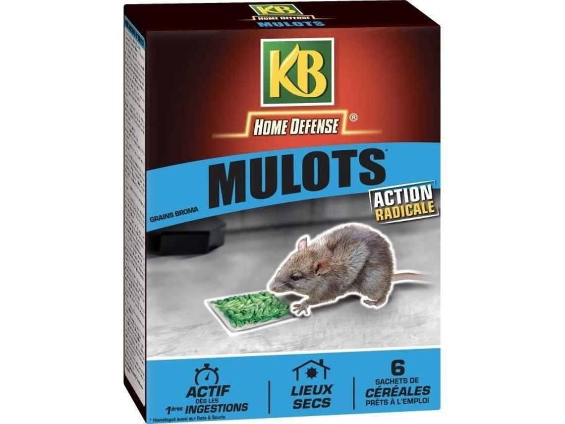 Cereal para tempo de campo 150 g Kb