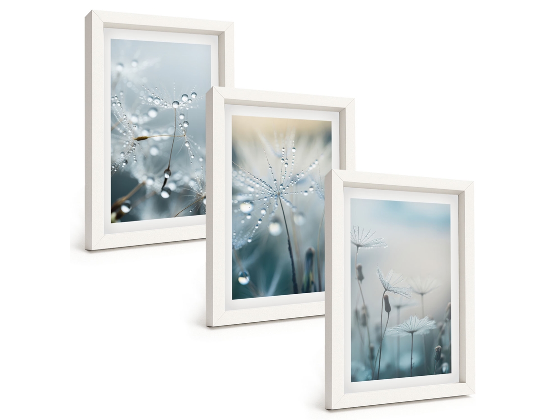 Galeria De Pinturas Murais Gotas De Orvalho Em Dentes-de-leão Moldura Branca Fotos Para O Escritório Espelharte (3 Peças 20x30 Cm)