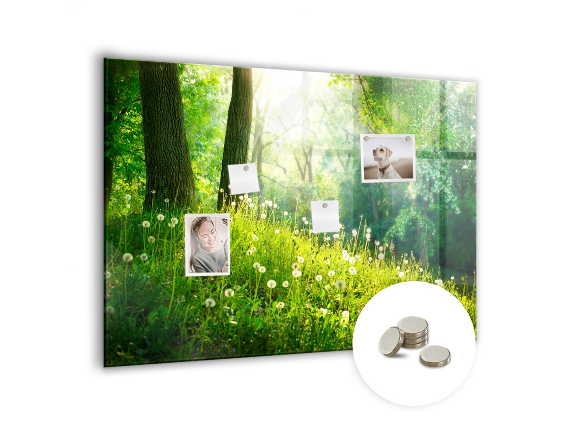 Quadro Magnético De Parede Natureza Da Primavera Para O Quarto Das Crianças Espelharte (100x70 Cm)