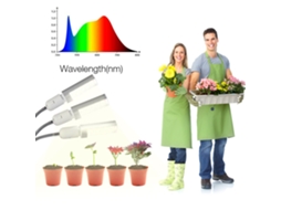 Luz Led De Crescimento Para Plantas Interiores Com Timer E 360° Flexível