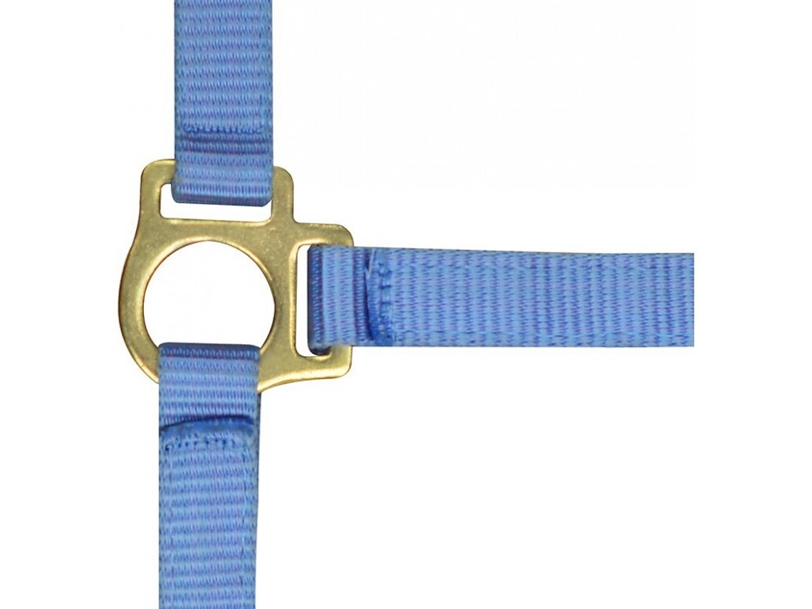 Cabresto para potro e corda de chumbo Norton