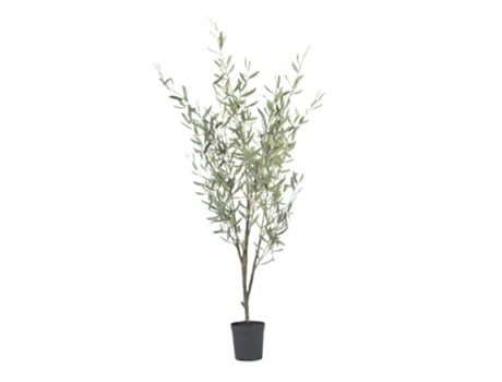 Artificial Plants Plant In A Box Olea Conjunto De 1 Pote 17cm Altura 150cm