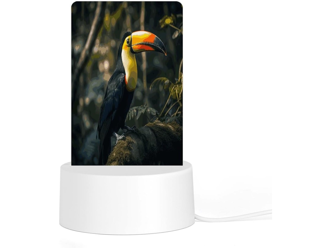 Luminária Noturna De Led Em Acrílico Com Base Plástica Reutilizável E Plugue, Com Estampa Colorida De Tucano, Ideal