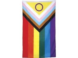 Bandeira Inclusiva 90x150 cm