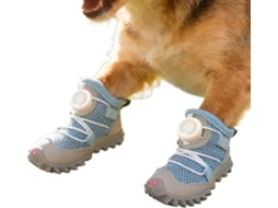 Botas Antiderrapantes, Respiráveis E Impermeáveis Cães