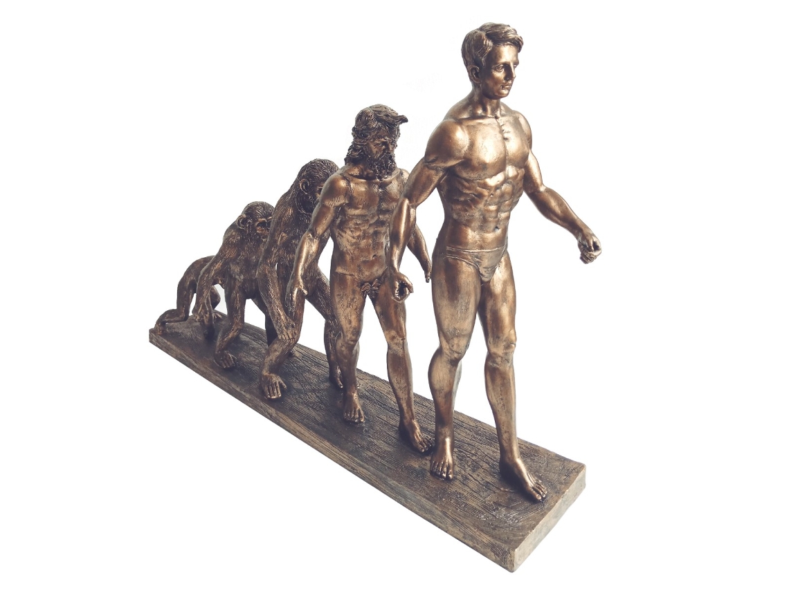 Figura da evolução humana BY SIGRIS