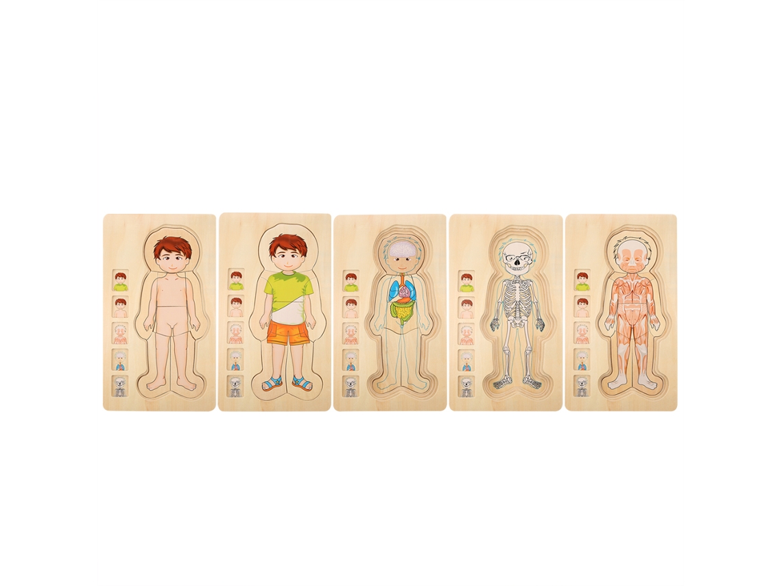 Mali brinquedo de Blocos de Madeira Estrutura Corporal Humana Multicamada Educativo Inteligente para Menino