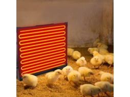 Aquecedor Galinheiro 145w Econômico Seguro Aves Pets