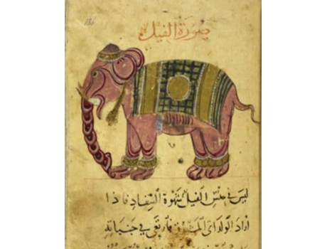 Livro Animals De Malini Roy (inglês)